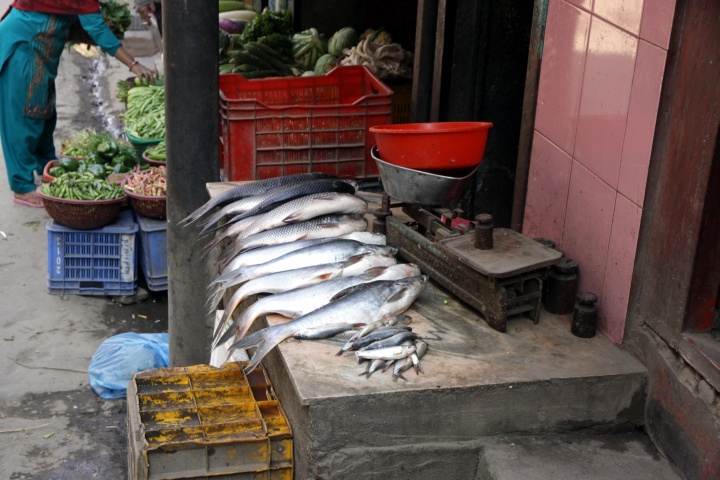 Fischladen in Kathmandu