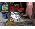 [Fischladen in Kathmandu]