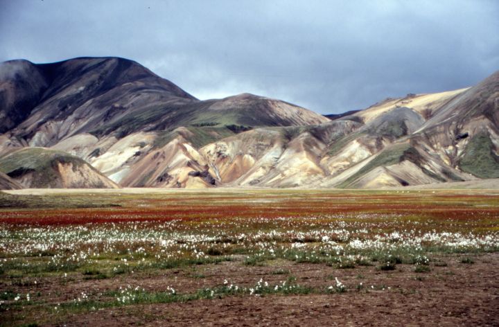 Landmannalaugar