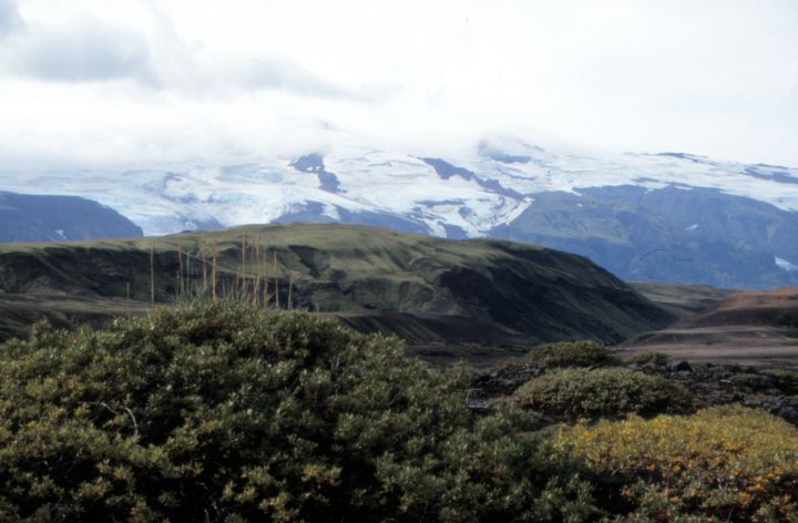 &THORN;&oacute;rsm&ouml;rk