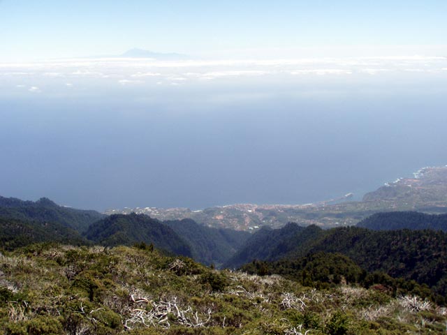 Hoch &uuml;ber Santa Cruz