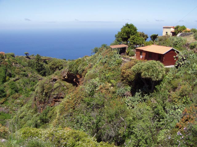 Finkas in Las Tricias