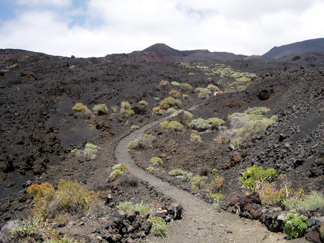 Typisches Vulkangestein