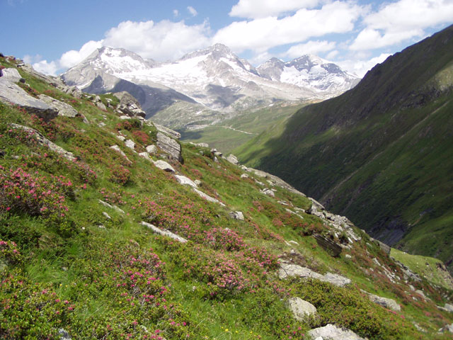 Was f&uuml;r’n Blick