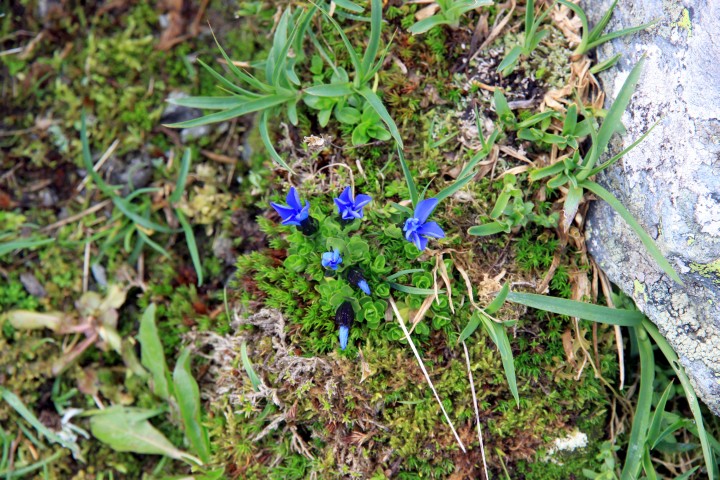 Ja ja so blau blau blau...