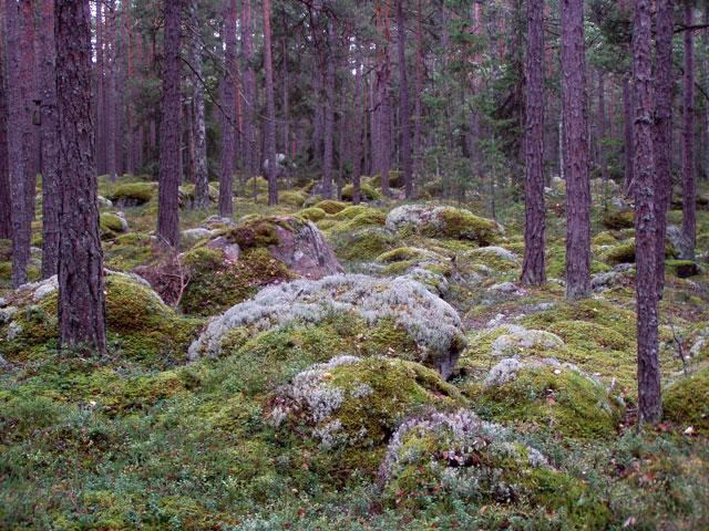 Lahemaa Nationalpark