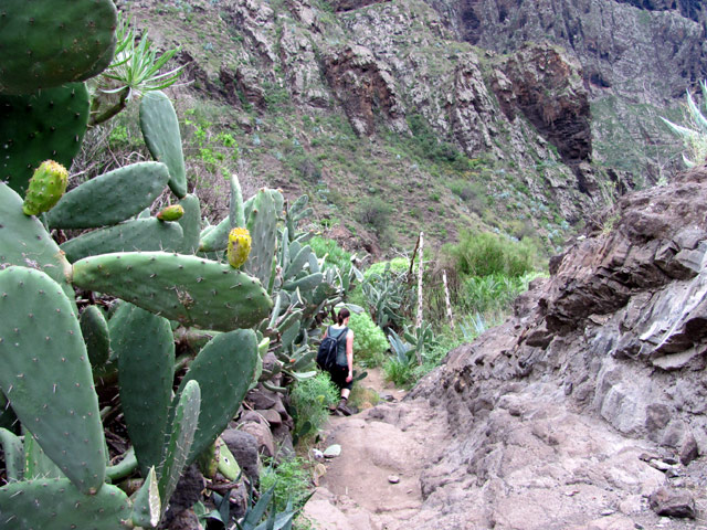 Barranca de Masca