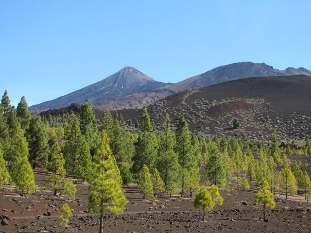Auf zum Teide!