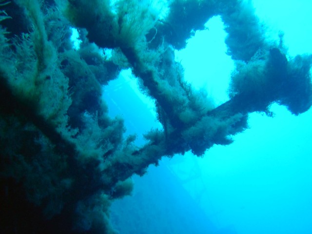 Wrack-Tauchgang Zenobia