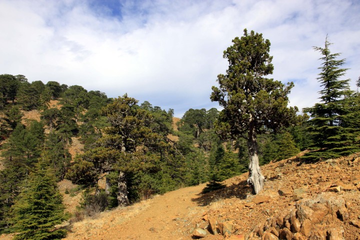Wanderung im Troodos