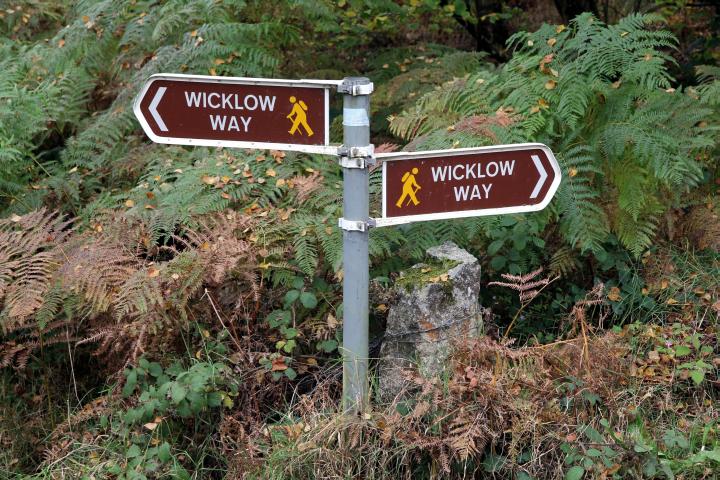 Wicklow Way