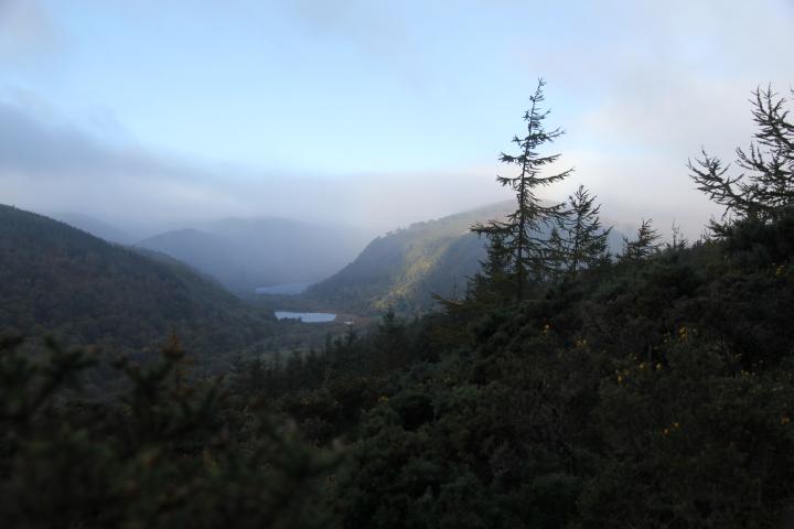 Morgennebel