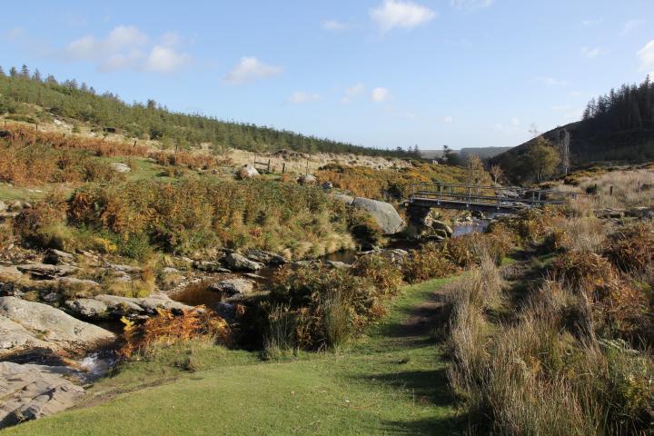 Windgesch&uuml;tzer Rastplatz