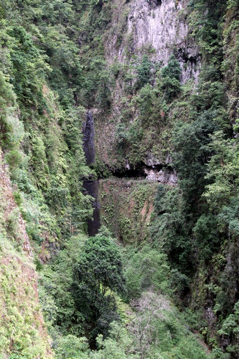 Levada Ribeira da Janela