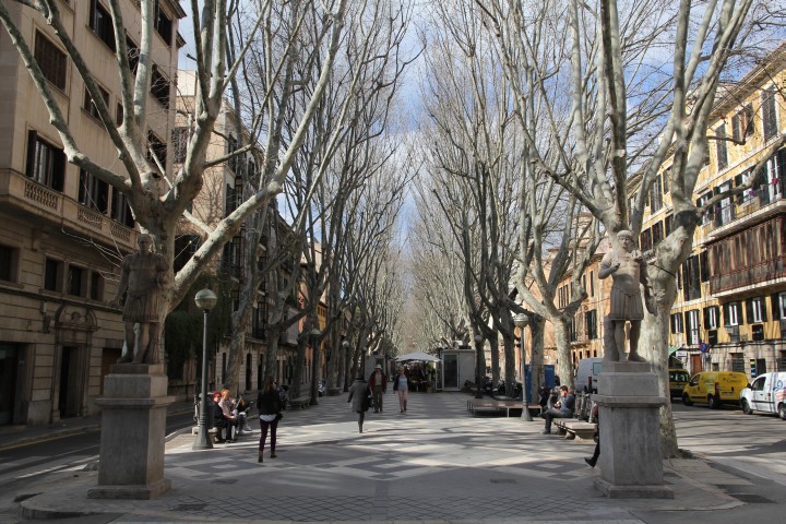 Palma Innenstadt