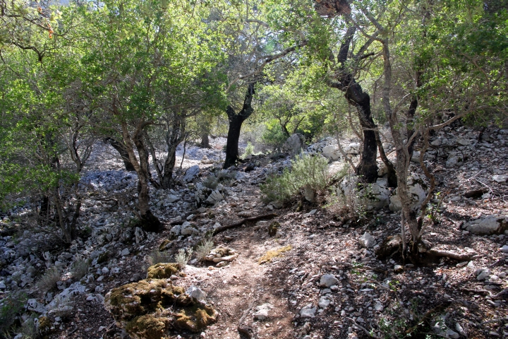 Weg Cala Goloritz&eacute;