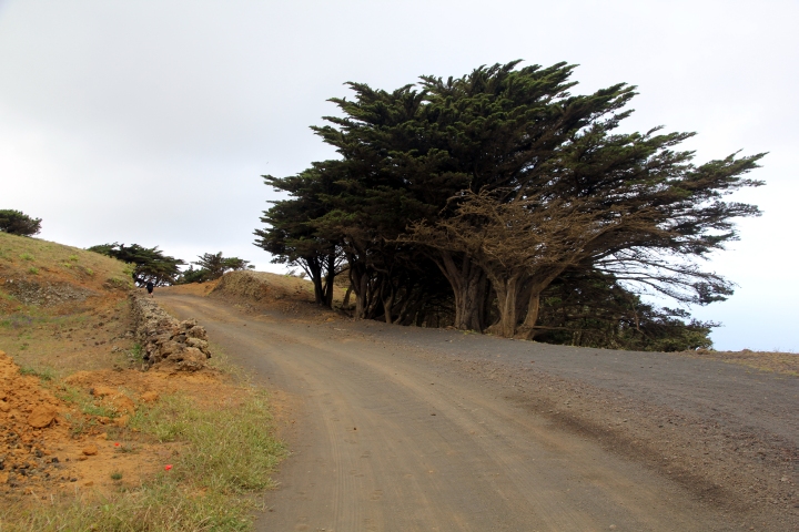Auf dem R&uuml;ckweg