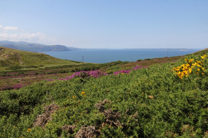 Great Orme Peninsula
