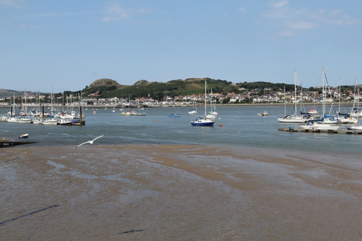 Hafen in Conwy
