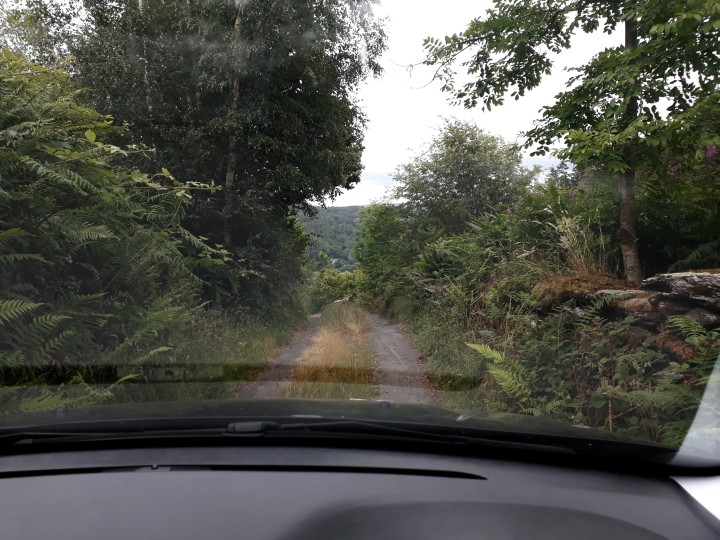 Das Navi sagt „Stra&szlig;e”