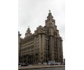 [Royal Liver Building]