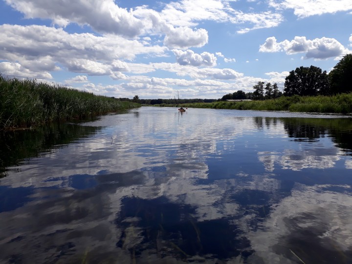 Wieder auf der Uecker