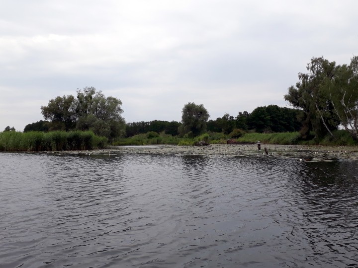 Schiffsfriedhof bei Ueckerm&uuml;nde
