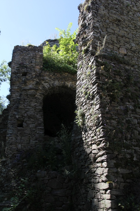 Burgruine Tol&scaron;tejn