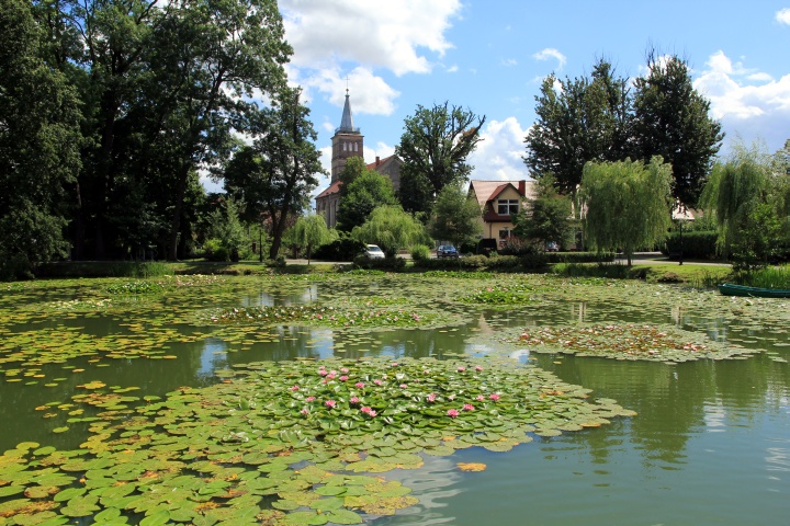 Jezioro Wolszty&nacute;skie