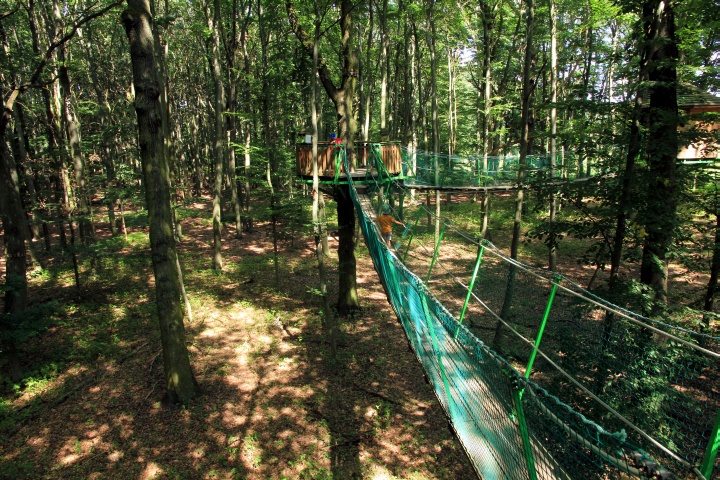 Baumkronenpfad im Delipark