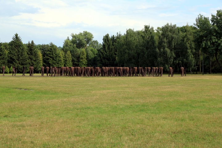 The Unrecognized Ones