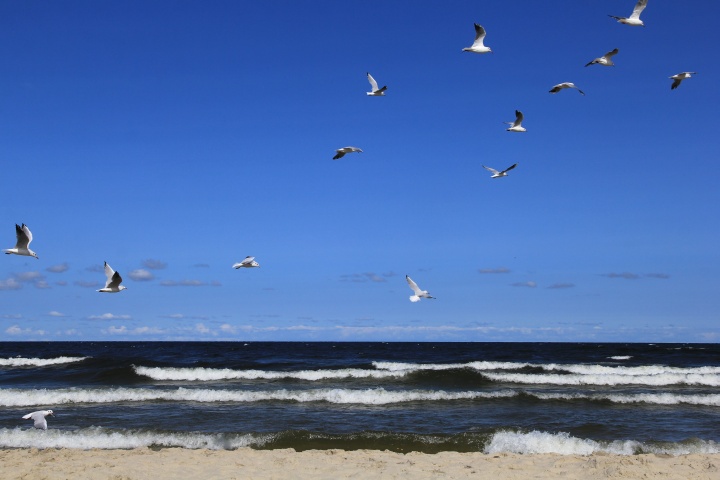 Ostsee in Krynica Morska