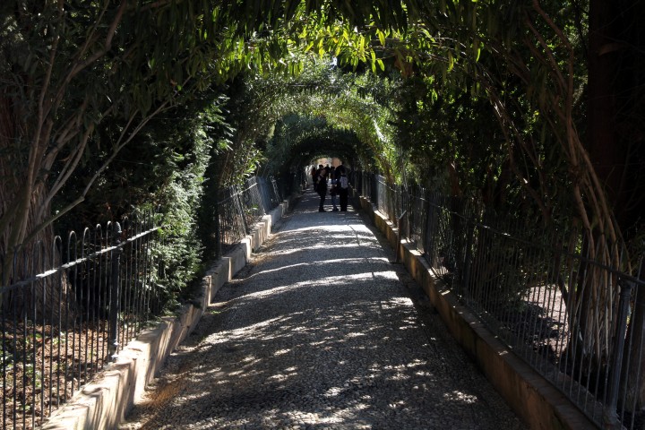 Paseo de las Adelfas del Generalife