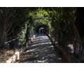 [Paseo de las Adelfas del Generalife]