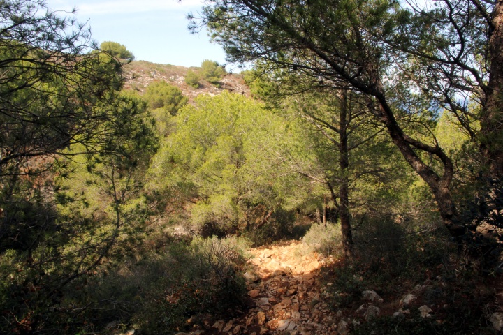 K&uuml;stenwanderweg