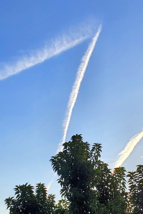 Pilot hat was vergessen?