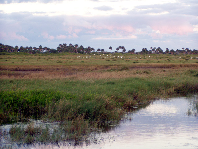 Dahinter irgendwo die Startrampe
