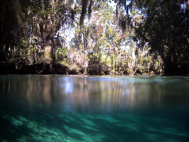 Crystal River Springs
