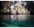 [Crystal River Springs]
