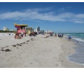 [Miami Beach]