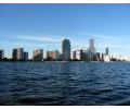 [Miami Skyline]