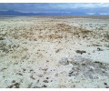 [Salar de Atacama]
