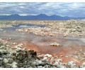 [Laguna Chaxa]