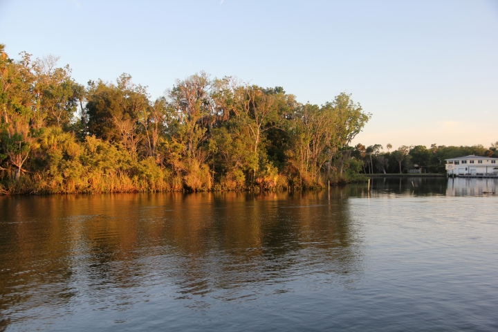 Crystal River National Wildlife Refuge