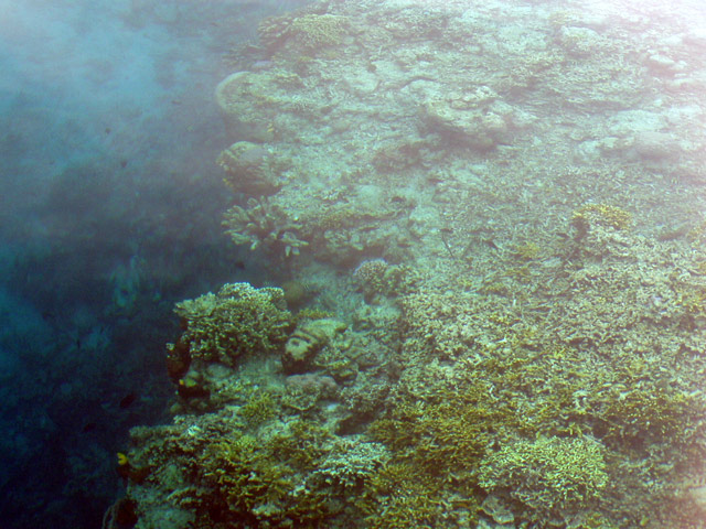 Glasklares Wasser am Riff