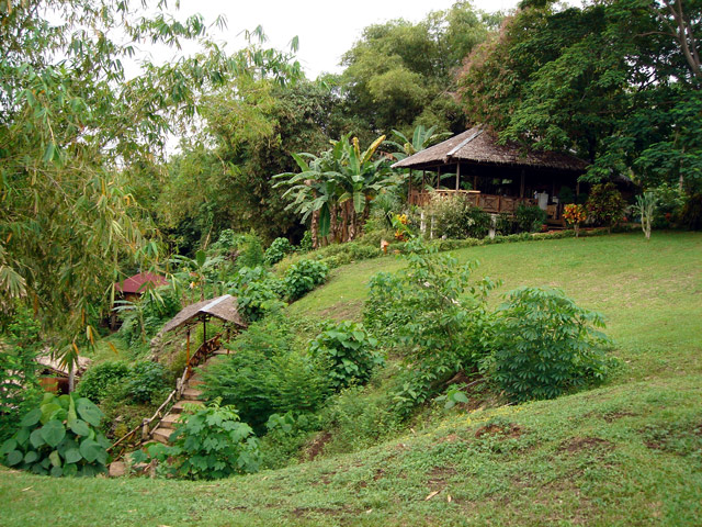 Living Colours Bunaken