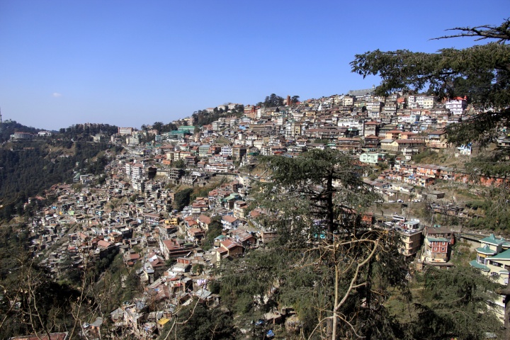 Shimla