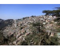 [Shimla]