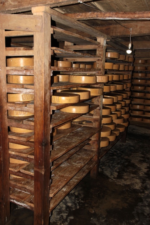 Sing Gompa Cheese Factory