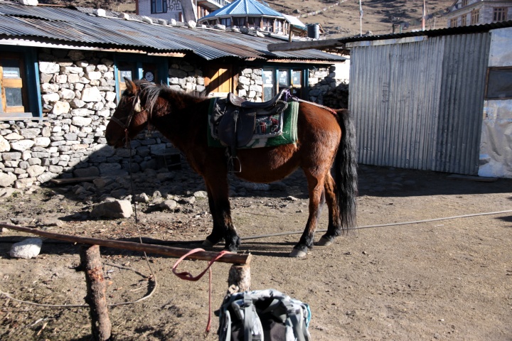 1PS-Abschlepp-Service